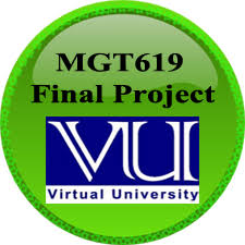 MGT619 Final Project