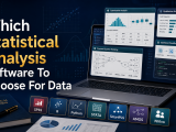 Statistical Analysis Software